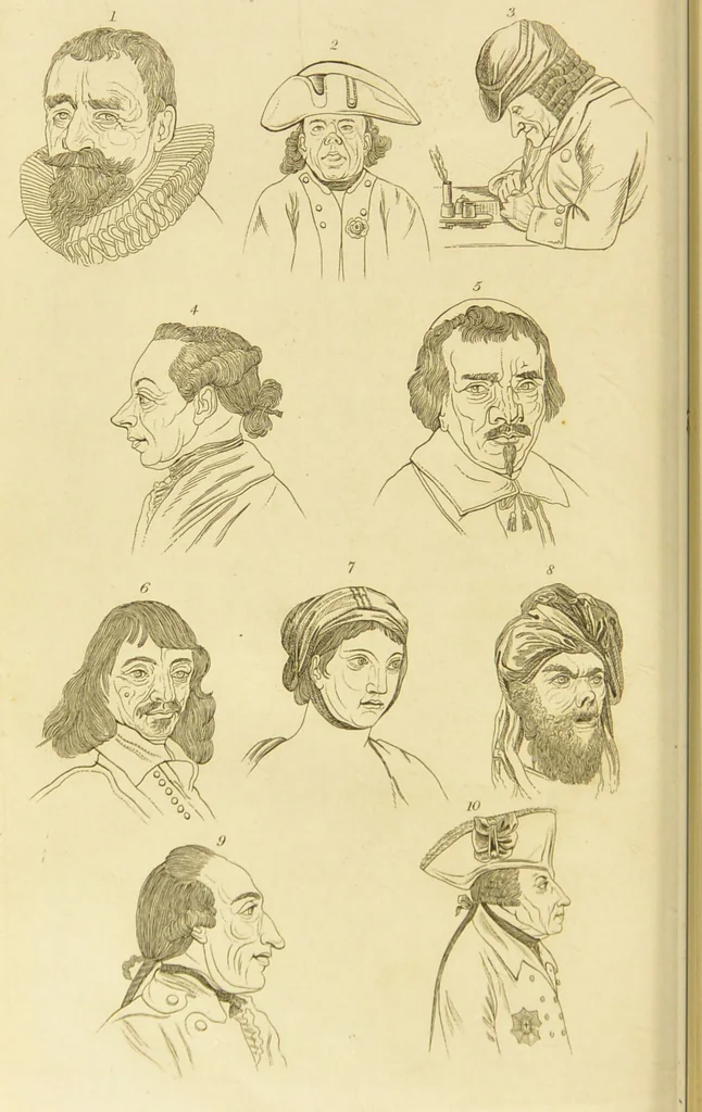 An illustration from Essays on physiognomy : designed to promote the knowledge and the love of mankind / written in the German language by John Caspar Lavater ; and translated into English by Thomas Holcroft ; to which are added one hundred physiognomonical rules, a posthumous work by Mr. Lavater and Memoirs of the life of the author., 1855, leaf 716