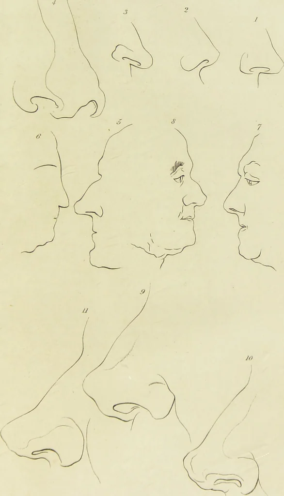 An illustration from Essays on physiognomy : designed to promote the knowledge and the love of mankind / written in the German language by John Caspar Lavater ; and translated into English by Thomas Holcroft ; to which are added one hundred physiognomonical rules, a posthumous work by Mr. Lavater and Memoirs of the life of the author., 1855, leaf 721