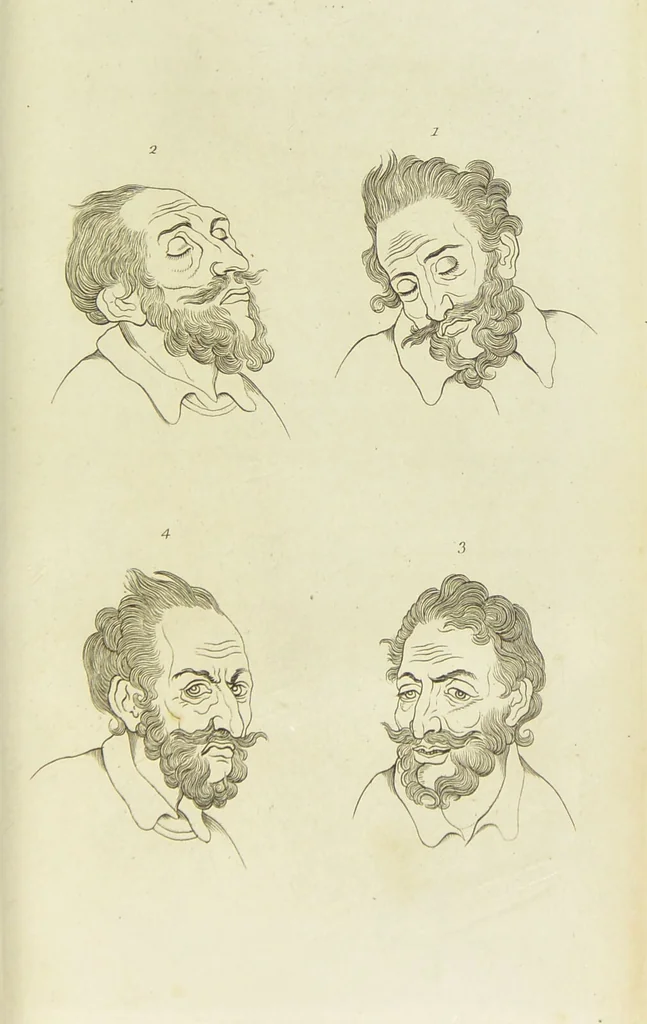 An illustration from Essays on physiognomy : designed to promote the knowledge and the love of mankind / written in the German language by John Caspar Lavater ; and translated into English by Thomas Holcroft ; to which are added one hundred physiognomonical rules, a posthumous work by Mr. Lavater and Memoirs of the life of the author., 1855, leaf 725