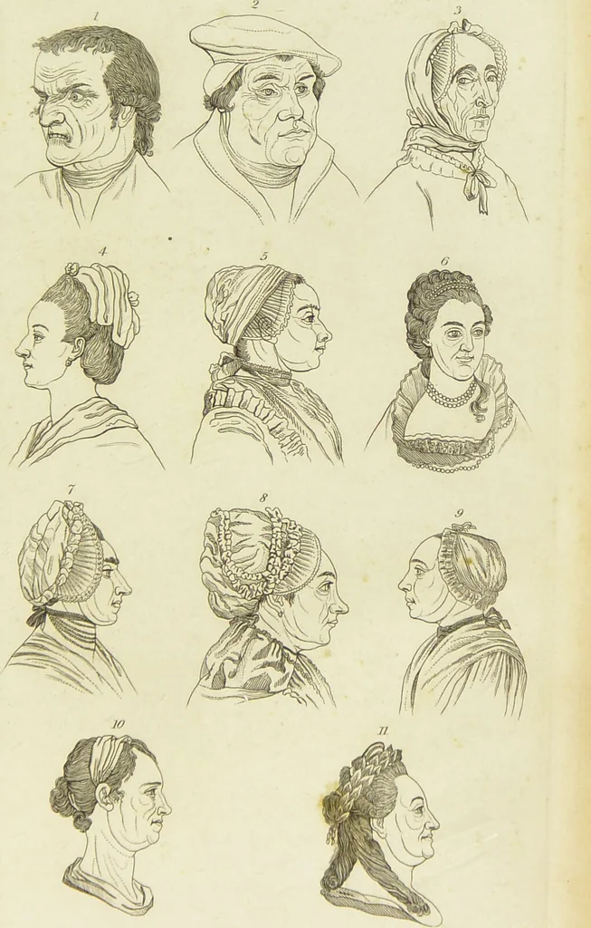 An illustration from Essays on physiognomy : designed to promote the knowledge and the love of mankind / written in the German language by John Caspar Lavater ; and translated into English by Thomas Holcroft ; to which are added one hundred physiognomonical rules, a posthumous work by Mr. Lavater and Memoirs of the life of the author., 1855, leaf 727