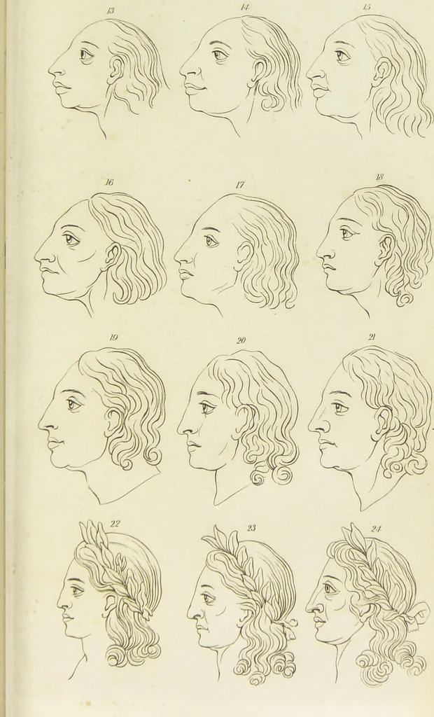 An illustration from Essays on physiognomy : designed to promote the knowledge and the love of mankind / written in the German language by John Caspar Lavater ; and translated into English by Thomas Holcroft ; to which are added one hundred physiognomonical rules, a posthumous work by Mr. Lavater and Memoirs of the life of the author., 1855, leaf 769