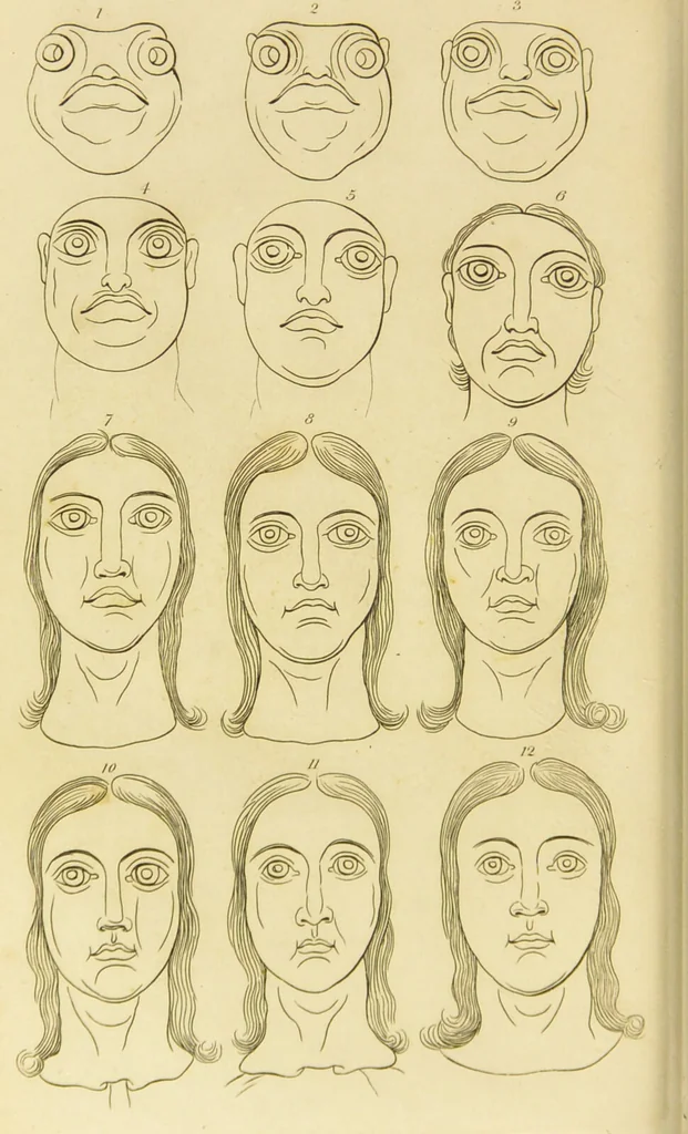 An illustration from Essays on physiognomy : designed to promote the knowledge and the love of mankind / written in the German language by John Caspar Lavater ; and translated into English by Thomas Holcroft ; to which are added one hundred physiognomonical rules, a posthumous work by Mr. Lavater and Memoirs of the life of the author., 1855, leaf 770