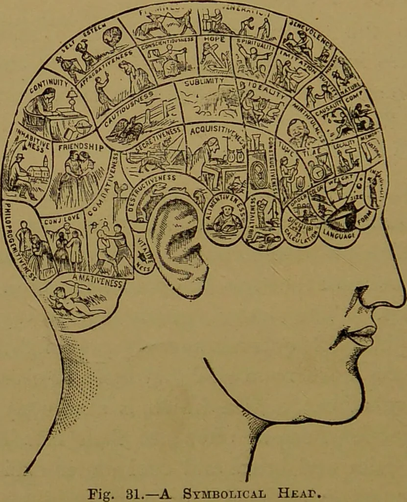 An illustration from The revised twentieth-century phrenology : embracing a new seven-fold classification of the temperaments, a uniform and complete nomenclature of the centres, re-grouping of the centres, new illustrations, new discoveries / by John William Taylor., 1901, leaf 104
