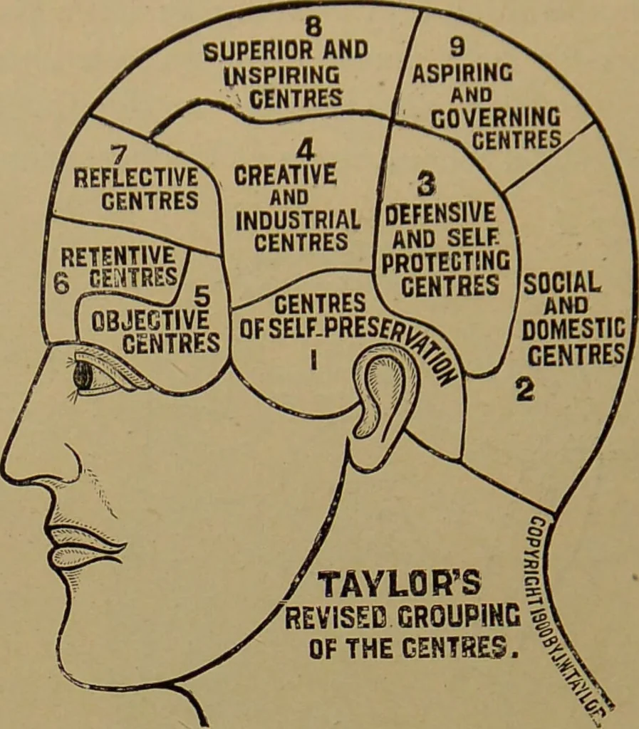 An illustration from The revised twentieth-century phrenology : embracing a new seven-fold classification of the temperaments, a uniform and complete nomenclature of the centres, re-grouping of the centres, new illustrations, new discoveries / by John William Taylor., 1901, leaf 134