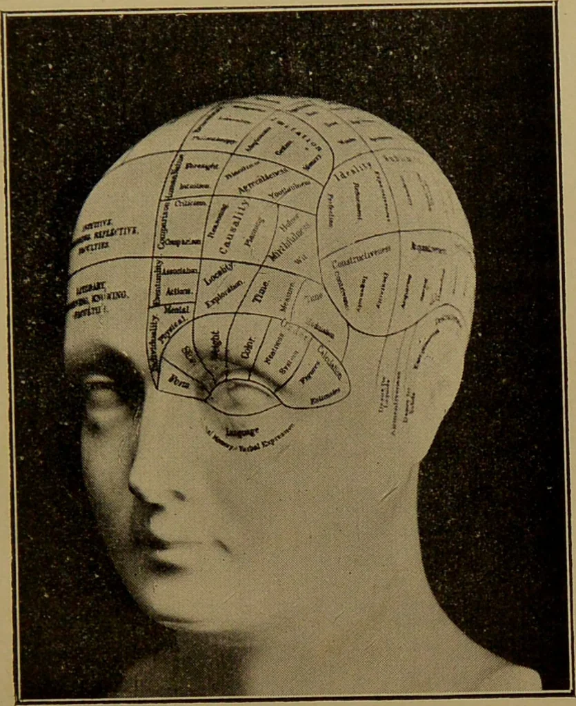 An illustration from The revised twentieth-century phrenology : embracing a new seven-fold classification of the temperaments, a uniform and complete nomenclature of the centres, re-grouping of the centres, new illustrations, new discoveries / by John William Taylor., 1901, leaf 135