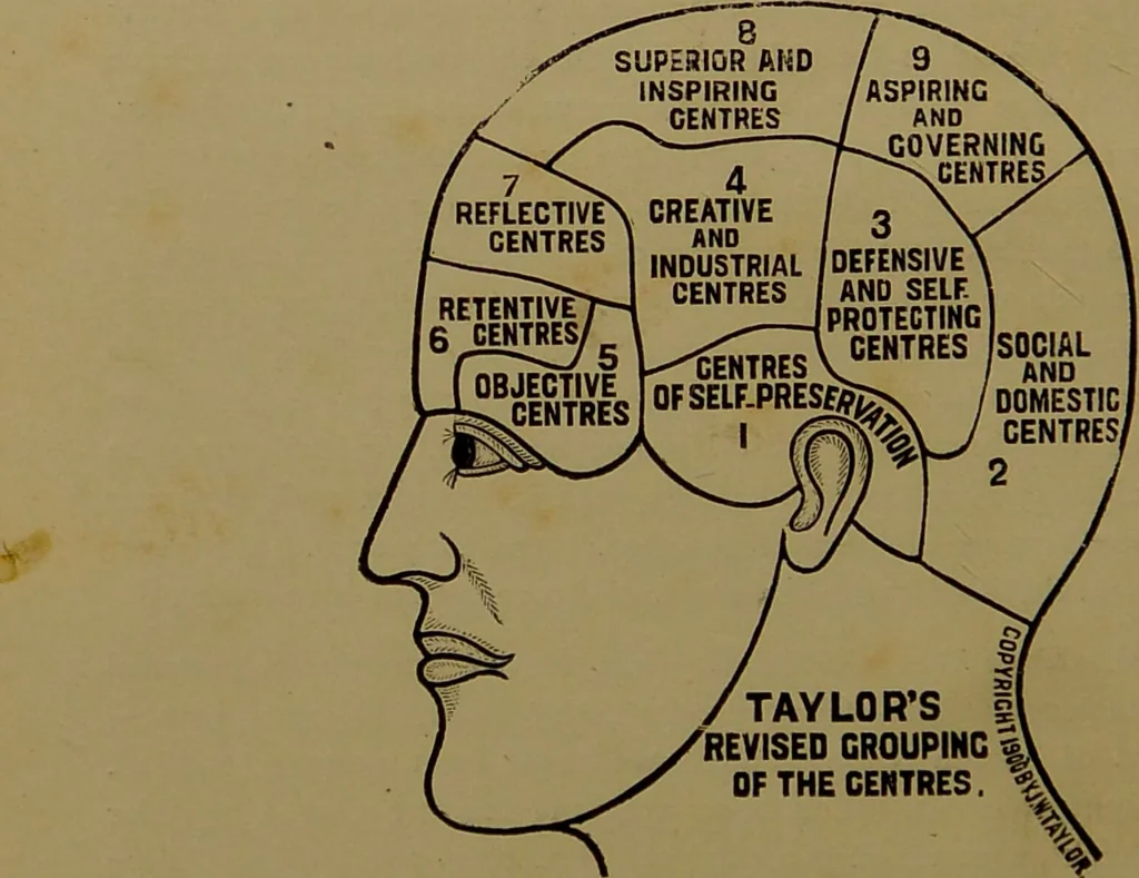 An illustration from The revised twentieth-century phrenology : embracing a new seven-fold classification of the temperaments, a uniform and complete nomenclature of the centres, re-grouping of the centres, new illustrations, new discoveries / by John William Taylor., 1901, leaf 24