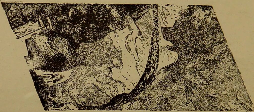 An illustration from The revised twentieth-century phrenology : embracing a new seven-fold classification of the temperaments, a uniform and complete nomenclature of the centres, re-grouping of the centres, new illustrations, new discoveries / by John William Taylor., 1901, leaf 28