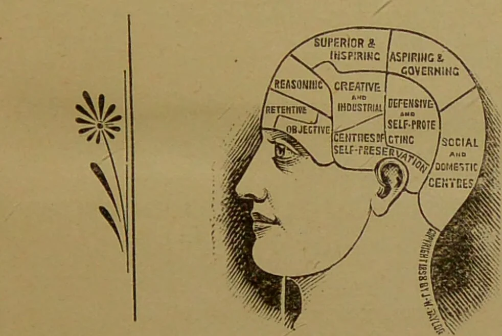 An illustration from The revised twentieth-century phrenology : embracing a new seven-fold classification of the temperaments, a uniform and complete nomenclature of the centres, re-grouping of the centres, new illustrations, new discoveries / by John William Taylor., 1901, leaf 5