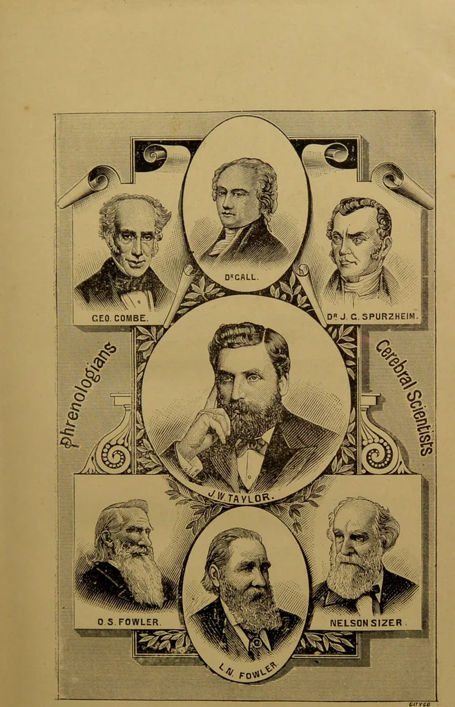 An illustration from The revised twentieth-century phrenology : embracing a new seven-fold classification of the temperaments, a uniform and complete nomenclature of the centres, re-grouping of the centres, new illustrations, new discoveries / by John William Taylor., 1901, leaf 7
