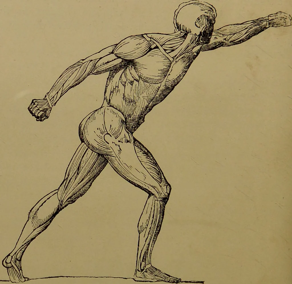 An illustration from The revised twentieth-century phrenology : embracing a new seven-fold classification of the temperaments, a uniform and complete nomenclature of the centres, re-grouping of the centres, new illustrations, new discoveries / by John William Taylor., 1901, leaf 70