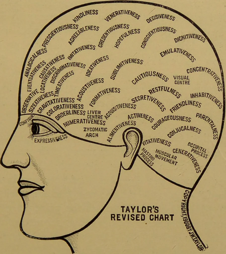 An illustration from The revised twentieth-century phrenology : embracing a new seven-fold classification of the temperaments, a uniform and complete nomenclature of the centres, re-grouping of the centres, new illustrations, new discoveries / by John William Taylor., 1901, leaf 77