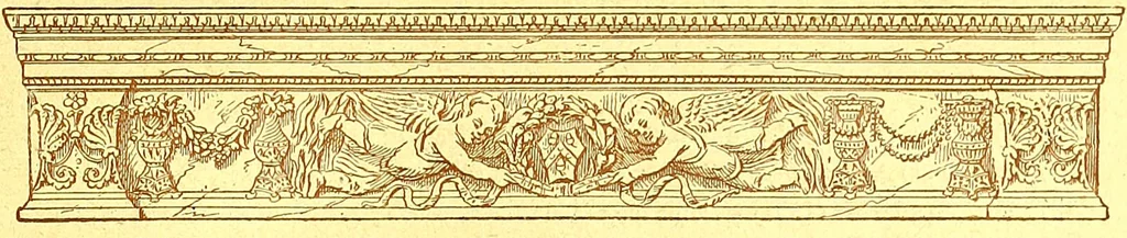 An illustration from Flore pittoresque de la France : anatomie, physiologie, classification, description des plantes indigènes et cultivées au point de vue de l'agriculture, de l'horticulture et de la sylviculture / publiée sous la direction de J. Rothschild., 1885, leaf 11