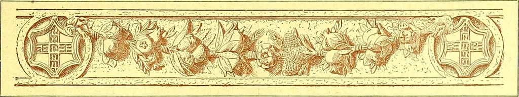 An illustration from Flore pittoresque de la France : anatomie, physiologie, classification, description des plantes indigènes et cultivées au point de vue de l'agriculture, de l'horticulture et de la sylviculture / publiée sous la direction de J. Rothschild., 1885, leaf 15