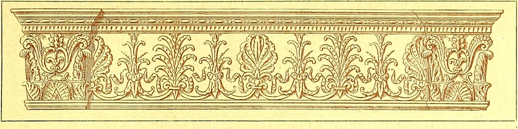 An illustration from Flore pittoresque de la France : anatomie, physiologie, classification, description des plantes indigènes et cultivées au point de vue de l'agriculture, de l'horticulture et de la sylviculture / publiée sous la direction de J. Rothschild., 1885, leaf 17