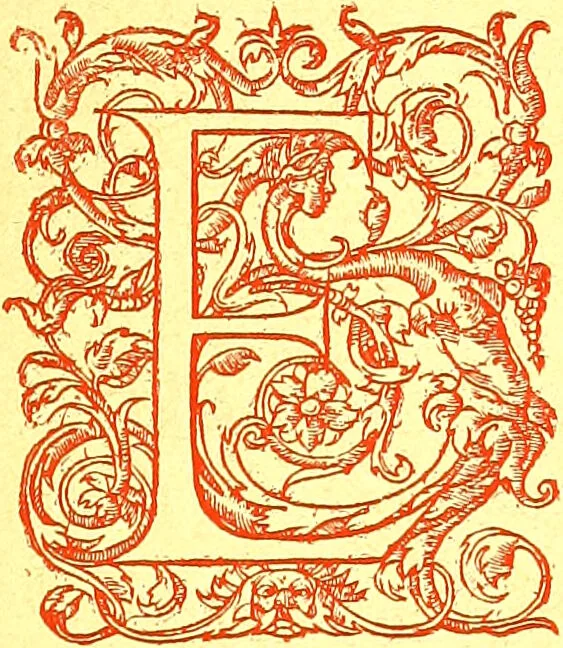 An illustration from Flore pittoresque de la France : anatomie, physiologie, classification, description des plantes indigènes et cultivées au point de vue de l'agriculture, de l'horticulture et de la sylviculture / publiée sous la direction de J. Rothschild., 1885, leaf 17