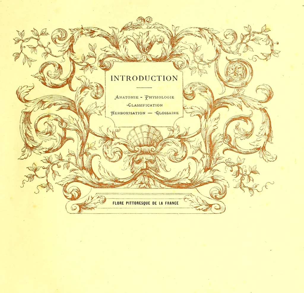 An illustration from Flore pittoresque de la France : anatomie, physiologie, classification, description des plantes indigènes et cultivées au point de vue de l'agriculture, de l'horticulture et de la sylviculture / publiée sous la direction de J. Rothschild., 1885, leaf 21
