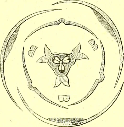 An illustration from Flore pittoresque de la France : anatomie, physiologie, classification, description des plantes indigènes et cultivées au point de vue de l'agriculture, de l'horticulture et de la sylviculture / publiée sous la direction de J. Rothschild., 1885, leaf 418