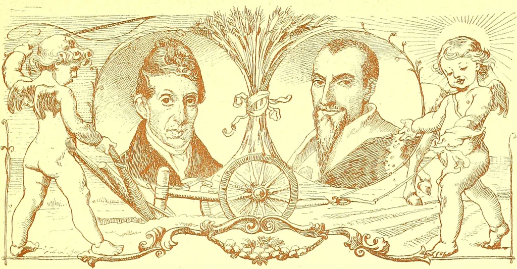 An illustration from Flore pittoresque de la France : anatomie, physiologie, classification, description des plantes indigènes et cultivées au point de vue de l'agriculture, de l'horticulture et de la sylviculture / publiée sous la direction de J. Rothschild., 1885, leaf 502