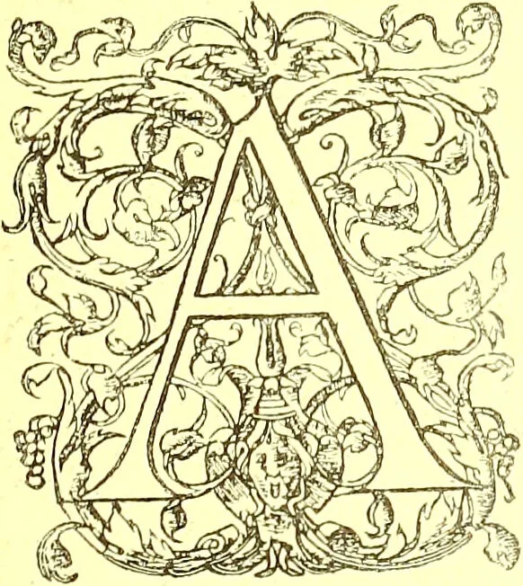 An illustration from Flore pittoresque de la France : anatomie, physiologie, classification, description des plantes indigènes et cultivées au point de vue de l'agriculture, de l'horticulture et de la sylviculture / publiée sous la direction de J. Rothschild., 1885, leaf 502