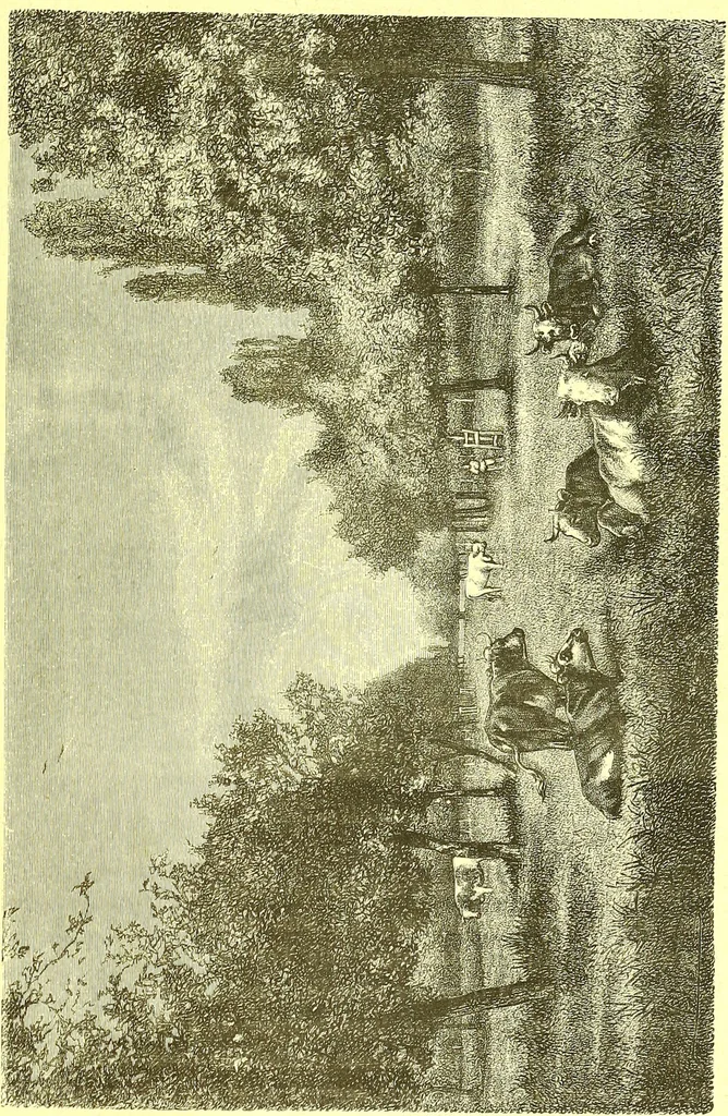 An illustration from Flore pittoresque de la France : anatomie, physiologie, classification, description des plantes indigènes et cultivées au point de vue de l'agriculture, de l'horticulture et de la sylviculture / publiée sous la direction de J. Rothschild., 1885, leaf 524