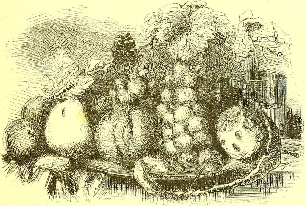 An illustration from Flore pittoresque de la France : anatomie, physiologie, classification, description des plantes indigènes et cultivées au point de vue de l'agriculture, de l'horticulture et de la sylviculture / publiée sous la direction de J. Rothschild., 1885, leaf 53