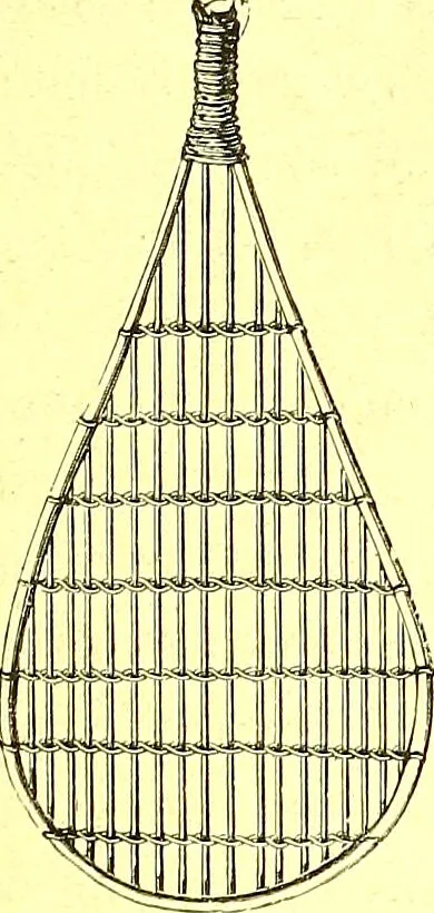 An illustration from Flore pittoresque de la France : anatomie, physiologie, classification, description des plantes indigènes et cultivées au point de vue de l'agriculture, de l'horticulture et de la sylviculture / publiée sous la direction de J. Rothschild., 1885, leaf 536