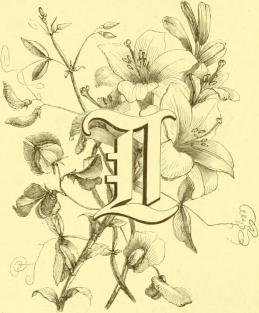 An illustration from Flore pittoresque de la France : anatomie, physiologie, classification, description des plantes indigènes et cultivées au point de vue de l'agriculture, de l'horticulture et de la sylviculture / publiée sous la direction de J. Rothschild., 1885, leaf 54