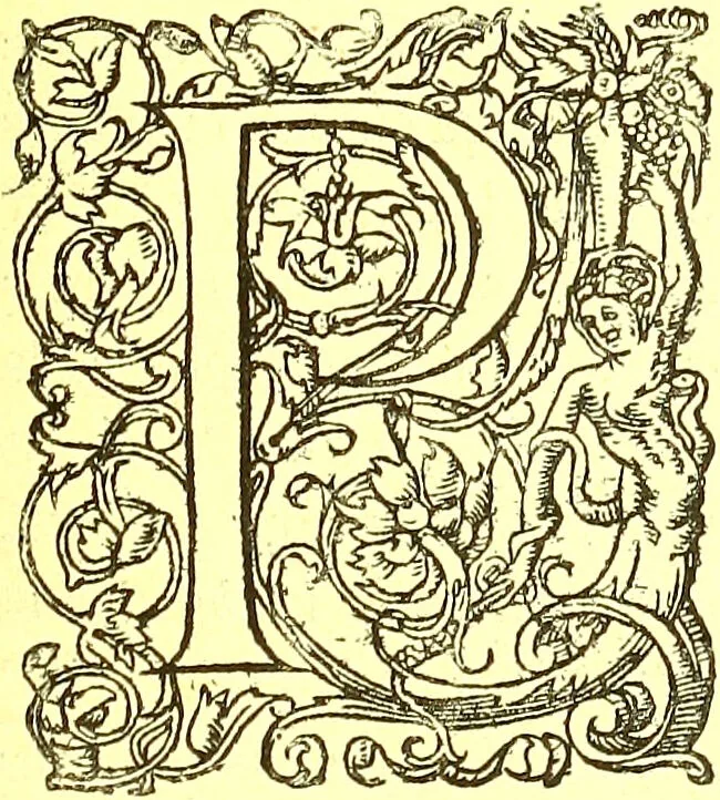 An illustration from Flore pittoresque de la France : anatomie, physiologie, classification, description des plantes indigènes et cultivées au point de vue de l'agriculture, de l'horticulture et de la sylviculture / publiée sous la direction de J. Rothschild., 1885, leaf 556