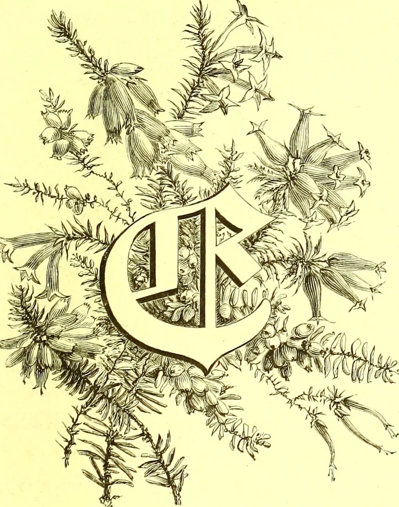 An illustration from Flore pittoresque de la France : anatomie, physiologie, classification, description des plantes indigènes et cultivées au point de vue de l'agriculture, de l'horticulture et de la sylviculture / publiée sous la direction de J. Rothschild., 1885, leaf 59