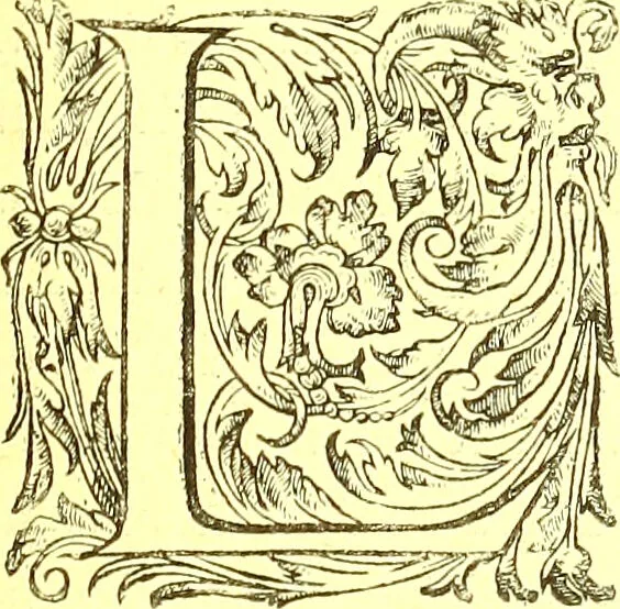 An illustration from Flore pittoresque de la France : anatomie, physiologie, classification, description des plantes indigènes et cultivées au point de vue de l'agriculture, de l'horticulture et de la sylviculture / publiée sous la direction de J. Rothschild., 1885, leaf 594