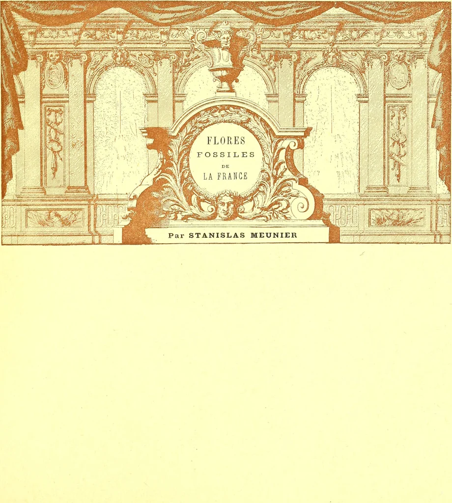 An illustration from Flore pittoresque de la France : anatomie, physiologie, classification, description des plantes indigènes et cultivées au point de vue de l'agriculture, de l'horticulture et de la sylviculture / publiée sous la direction de J. Rothschild., 1885, leaf 624