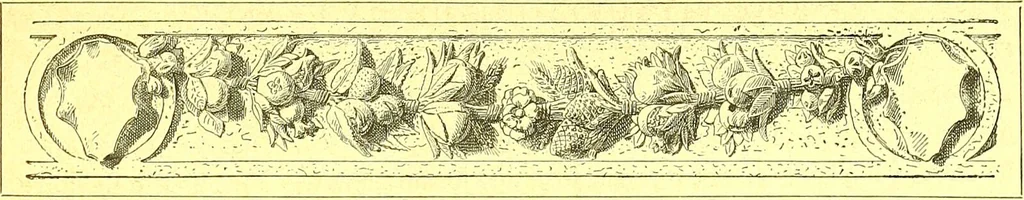 An illustration from Flore pittoresque de la France : anatomie, physiologie, classification, description des plantes indigènes et cultivées au point de vue de l'agriculture, de l'horticulture et de la sylviculture / publiée sous la direction de J. Rothschild., 1885, leaf 640