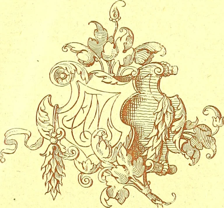 An illustration from Flore pittoresque de la France : anatomie, physiologie, classification, description des plantes indigènes et cultivées au point de vue de l'agriculture, de l'horticulture et de la sylviculture / publiée sous la direction de J. Rothschild., 1885, leaf 658