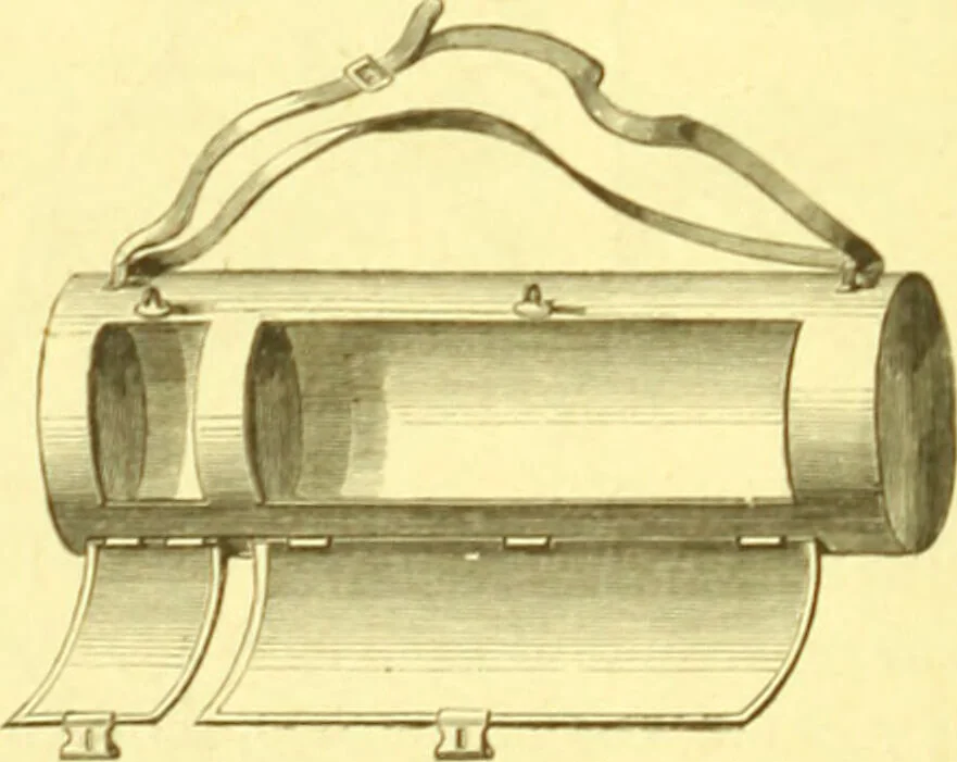 An illustration from Flore pittoresque de la France : anatomie, physiologie, classification, description des plantes indigènes et cultivées au point de vue de l'agriculture, de l'horticulture et de la sylviculture / publiée sous la direction de J. Rothschild., 1885, leaf 66