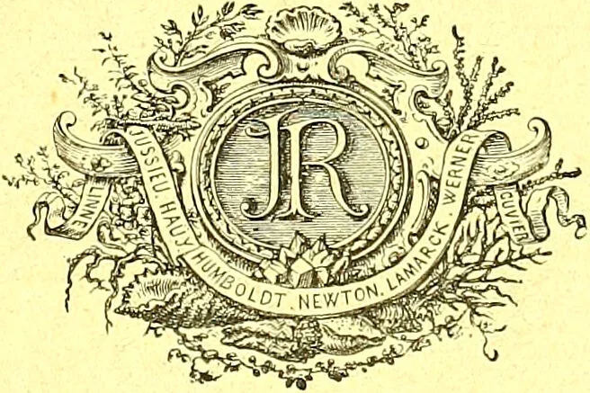 An illustration from Flore pittoresque de la France : anatomie, physiologie, classification, description des plantes indigènes et cultivées au point de vue de l'agriculture, de l'horticulture et de la sylviculture / publiée sous la direction de J. Rothschild., 1885, leaf 7