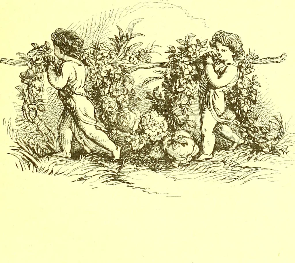An illustration from Flore pittoresque de la France : anatomie, physiologie, classification, description des plantes indigènes et cultivées au point de vue de l'agriculture, de l'horticulture et de la sylviculture / publiée sous la direction de J. Rothschild., 1885, leaf 71