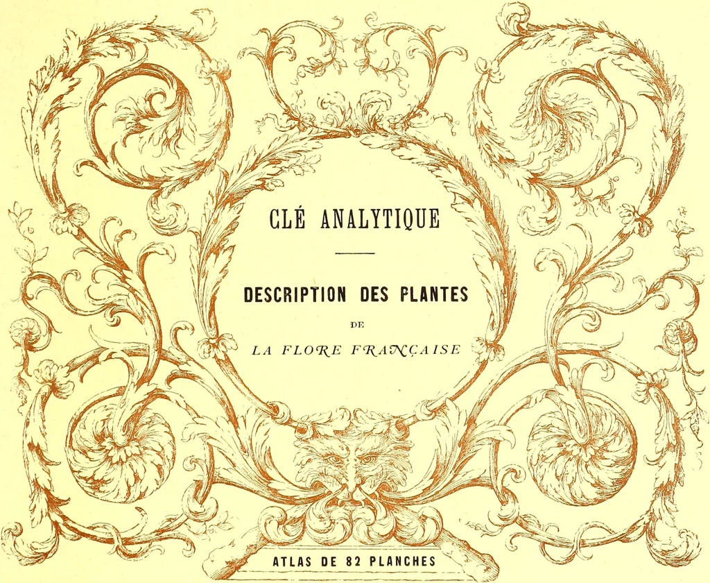 An illustration from Flore pittoresque de la France : anatomie, physiologie, classification, description des plantes indigènes et cultivées au point de vue de l'agriculture, de l'horticulture et de la sylviculture / publiée sous la direction de J. Rothschild., 1885, leaf 83