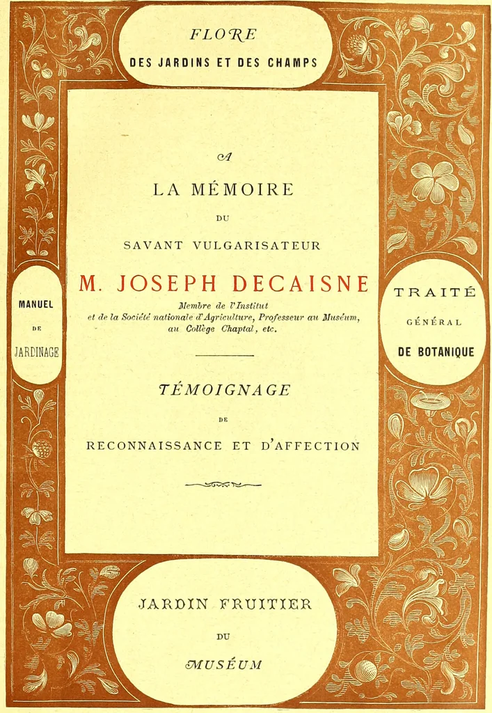 An illustration from Flore pittoresque de la France : anatomie, physiologie, classification, description des plantes indigènes et cultivées au point de vue de l'agriculture, de l'horticulture et de la sylviculture / publiée sous la direction de J. Rothschild., 1885, leaf 9
