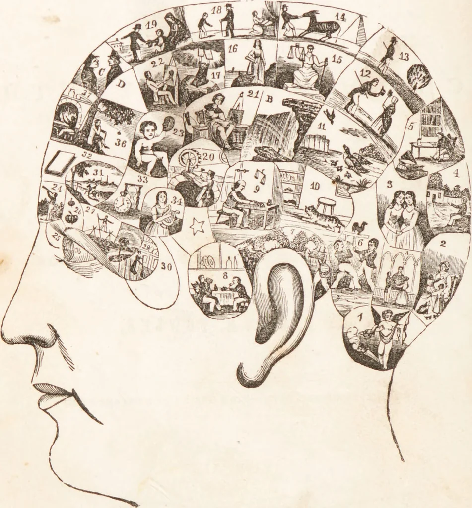 An illustration from Familiar lessons on physiology and phrenology : for children and youth in two volumes / by L.N. Fowler., 1860, leaf 104