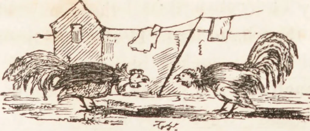 An illustration from Familiar lessons on physiology and phrenology : for children and youth in two volumes / by L.N. Fowler., 1860, leaf 151