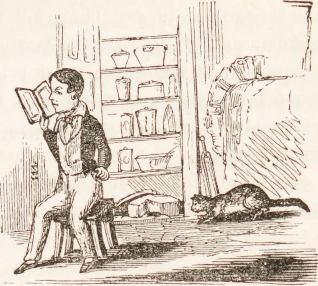 An illustration from Familiar lessons on physiology and phrenology : for children and youth in two volumes / by L.N. Fowler., 1860, leaf 165