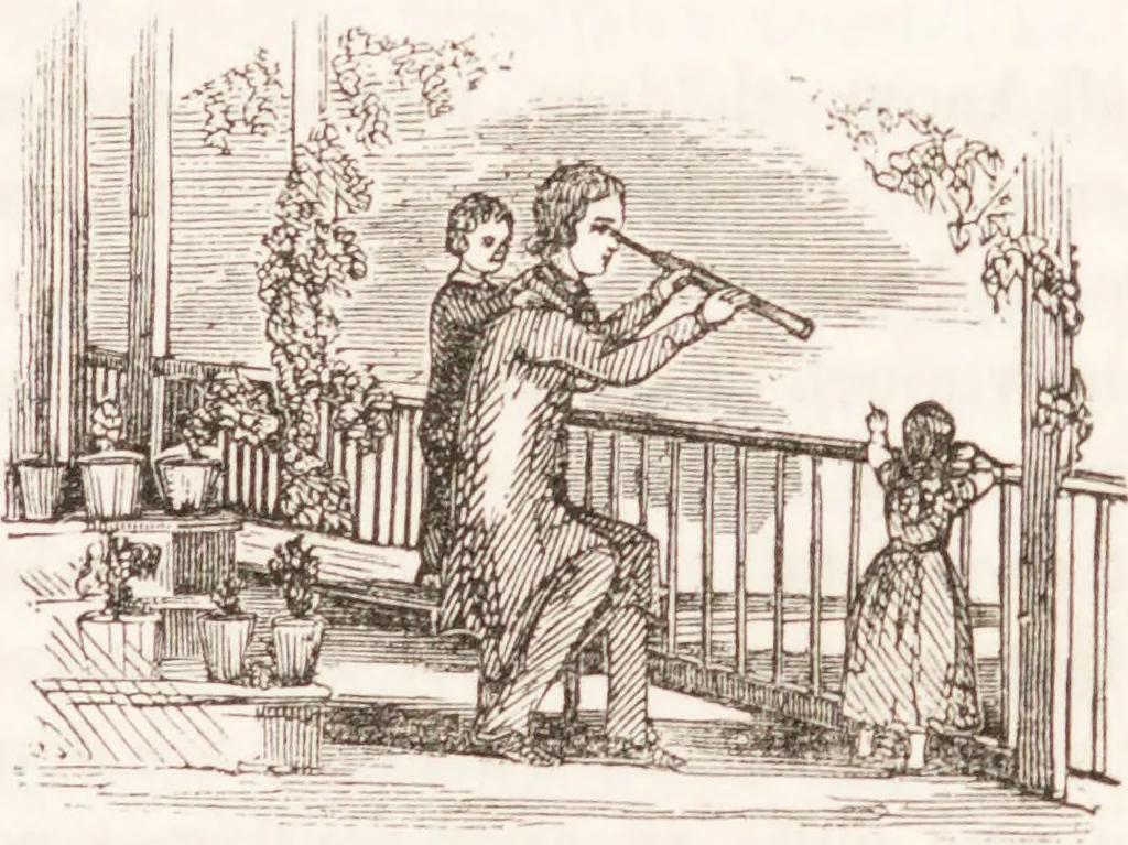 An illustration from Familiar lessons on physiology and phrenology : for children and youth in two volumes / by L.N. Fowler., 1860, leaf 237