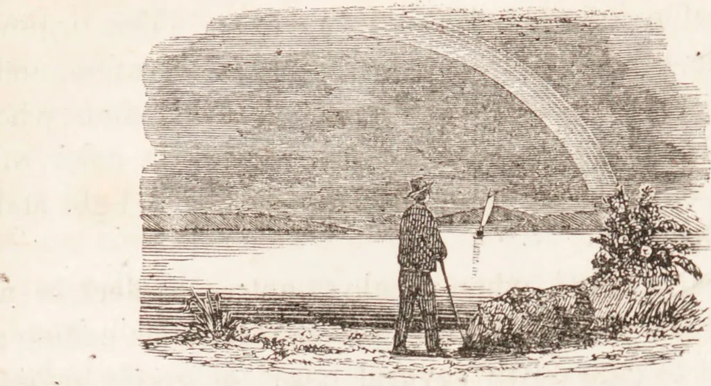 An illustration from Familiar lessons on physiology and phrenology : for children and youth in two volumes / by L.N. Fowler., 1860, leaf 247