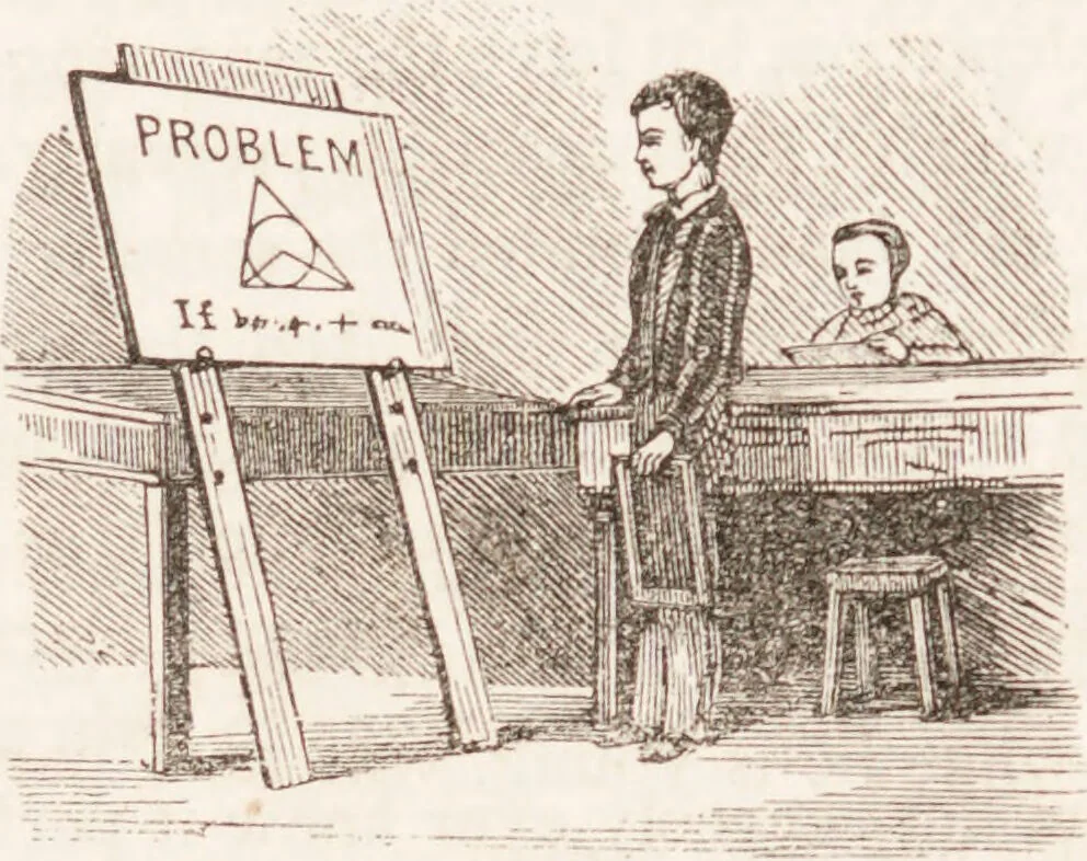 An illustration from Familiar lessons on physiology and phrenology : for children and youth in two volumes / by L.N. Fowler., 1860, leaf 253