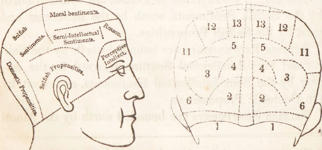 An illustration from Familiar lessons on physiology and phrenology : for children and youth in two volumes / by L.N. Fowler., 1860, leaf 296