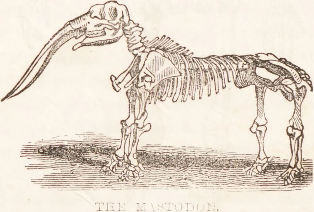 An illustration from Familiar lessons on physiology and phrenology : for children and youth in two volumes / by L.N. Fowler., 1860, leaf 34