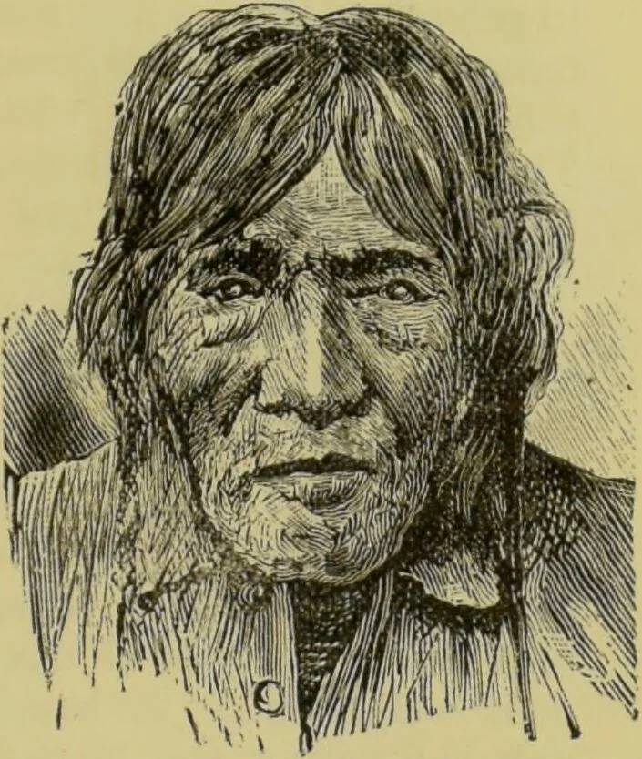 An illustration from The modern self-instructor in phrenology, physiology & physiognomy, or, The people's hand-book of human nature : containing a view of the moral and theological bearing of the science of phrenology / by Gustavus Cohen., 1889, leaf 127