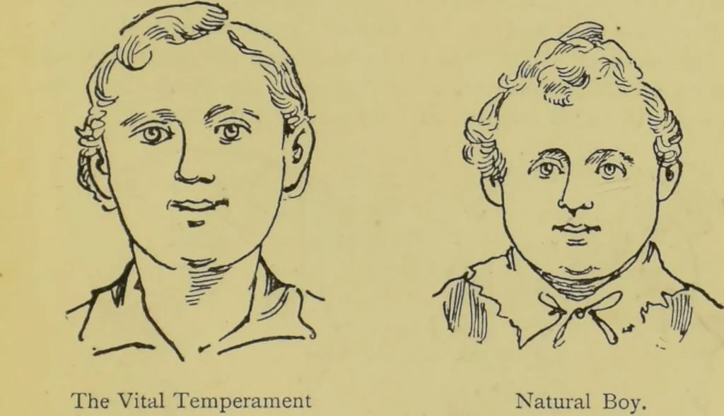 An illustration from The modern self-instructor in phrenology, physiology & physiognomy, or, The people's hand-book of human nature : containing a view of the moral and theological bearing of the science of phrenology / by Gustavus Cohen., 1889, leaf 63