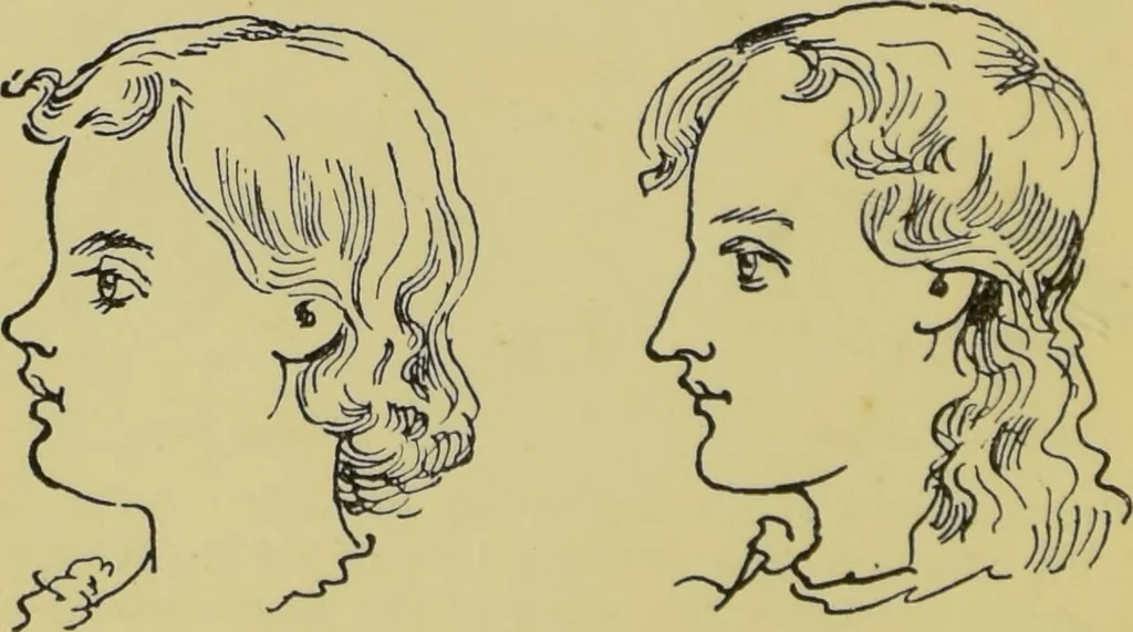 An illustration from The modern self-instructor in phrenology, physiology & physiognomy, or, The people's hand-book of human nature : containing a view of the moral and theological bearing of the science of phrenology / by Gustavus Cohen., 1889, leaf 64