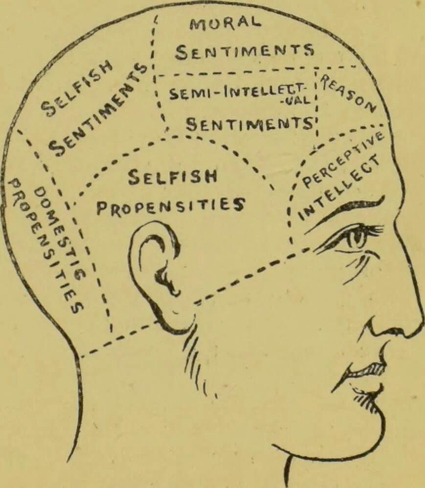 An illustration from The modern self-instructor in phrenology, physiology & physiognomy, or, The people's hand-book of human nature : containing a view of the moral and theological bearing of the science of phrenology / by Gustavus Cohen., 1889, leaf 67